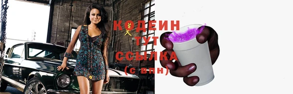 гидра Дмитров