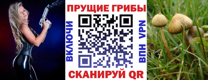 Галлюциногенные грибы Psilocybe  Купить  Еманжелинск 