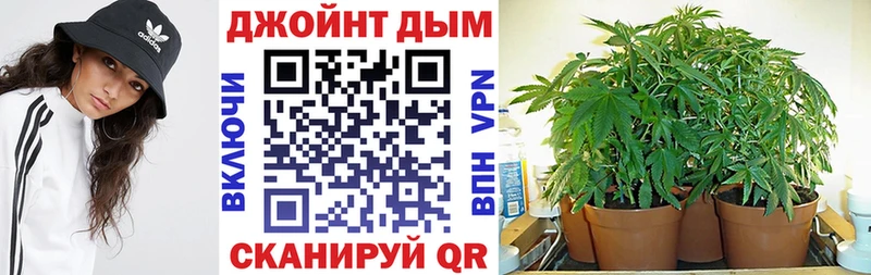 Купить закладки  Еманжелинск  Бошки Шишки Amnesia 